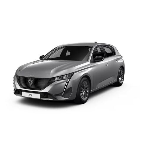 Peugeot 308 Ekran Koruyucu